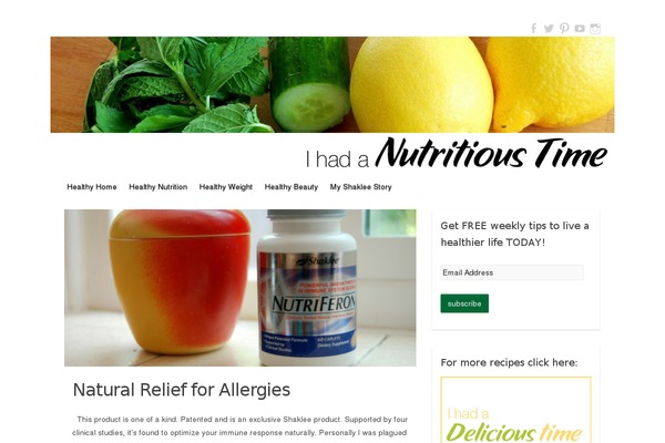 Travelify theme site design template sample