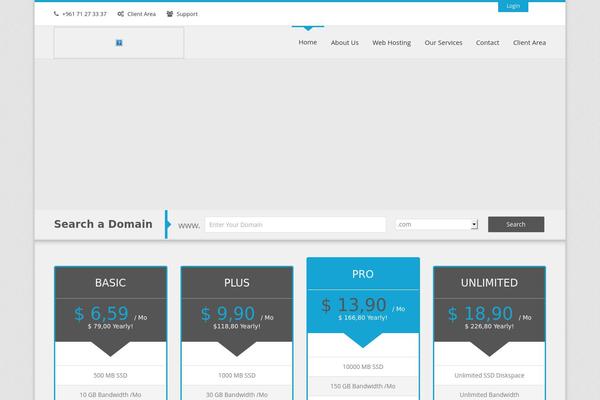 Megahost theme site design template sample
