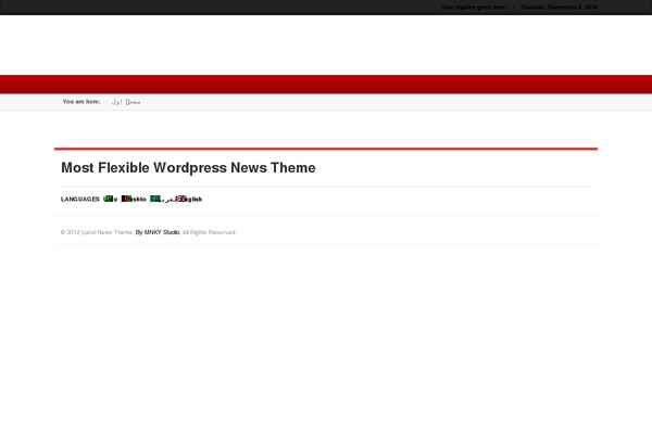 Local News theme site design template sample
