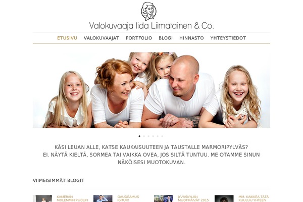 Skyfashion theme site design template sample