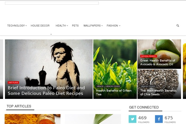 Curated theme site design template sample