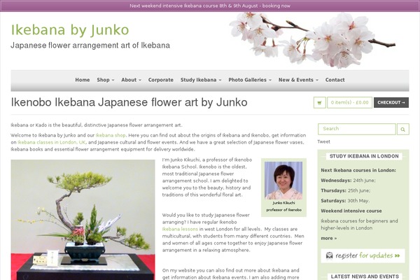 ikebanabyjunko.com site used Ikebana