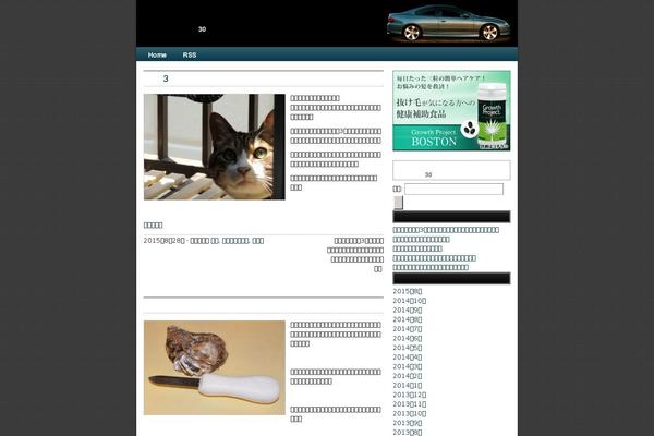 Nitrous Child Theme theme site design template sample