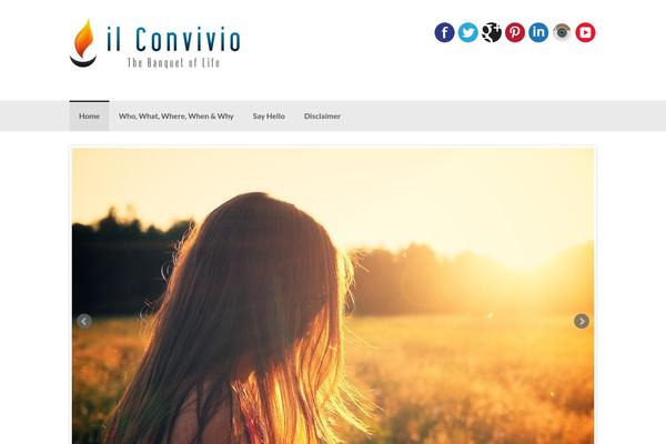 Coller theme site design template sample