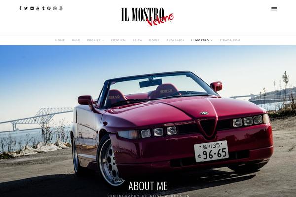 PhotoMe theme site design template sample