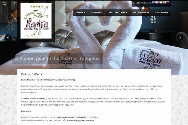 The Place theme site design template sample