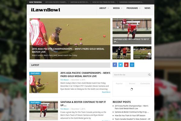 Point theme site design template sample