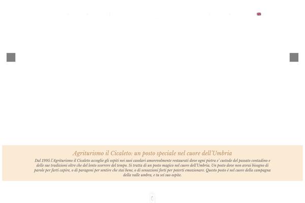Site using Wpml-translation-management plugin