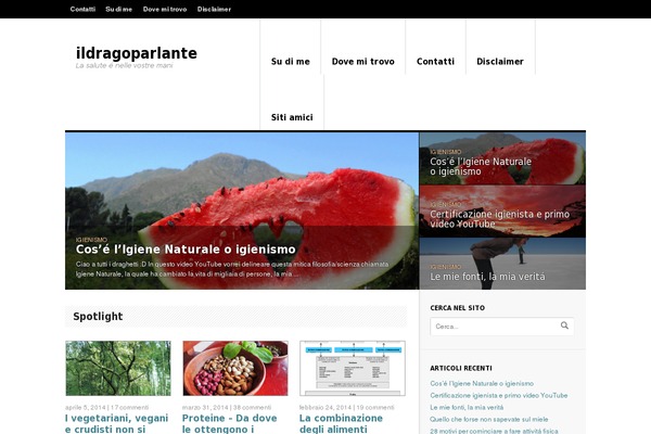 NewsMag theme site design template sample