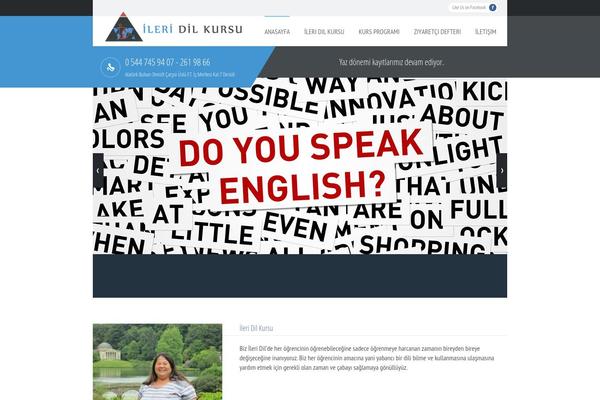 My College theme site design template sample
