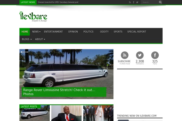 Newspaper theme site design template sample