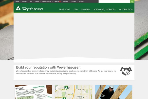 Felis theme site design template sample