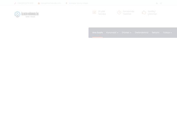Bauer theme site design template sample