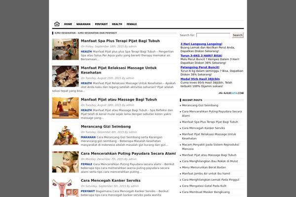 Borderseo theme site design template sample