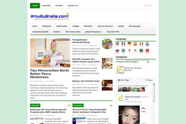 Newswire theme site design template sample
