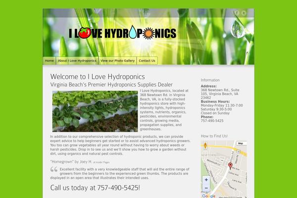 Options theme site design template sample