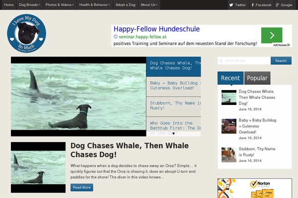 Site using Video-popup plugin