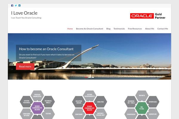 Spacious Pro theme site design template sample