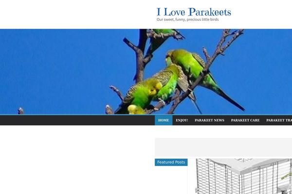Site using Recent & Featured Posts Widget plugin