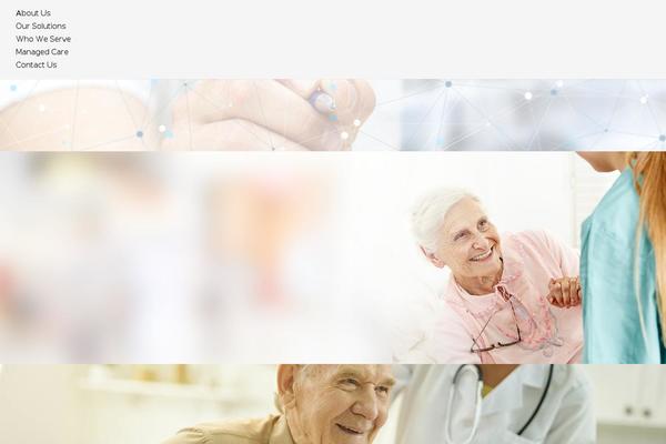 Site using Brizy-pro plugin