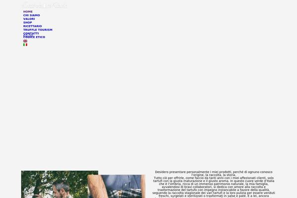 Site using Wp-multilang plugin