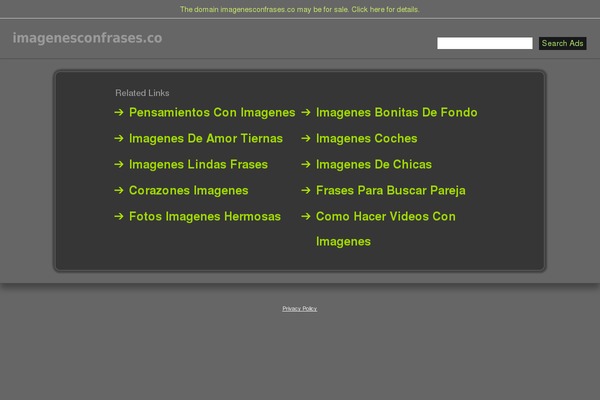 Spaze theme site design template sample
