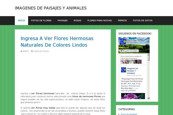 Site using Wp-clickster-unlimited plugin