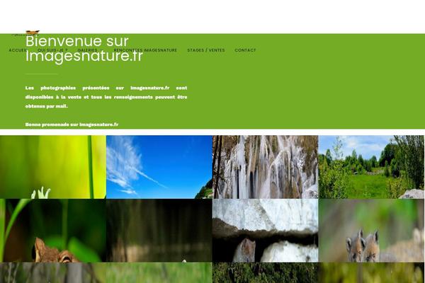 Site using Wolf-twitter plugin