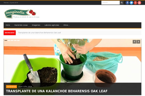 Renad theme site design template sample