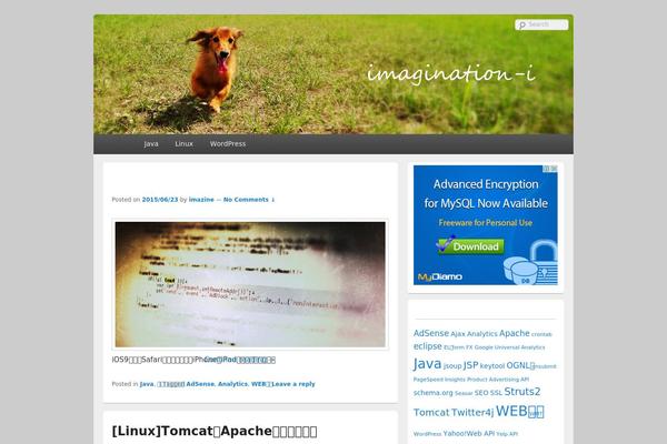Catch Box theme site design template sample
