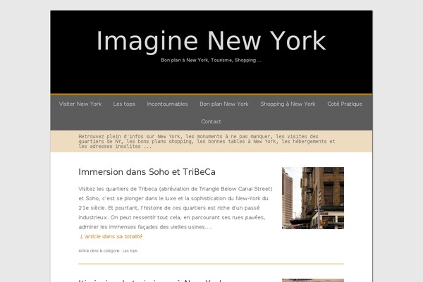 imaginenewyork.org site used Ppframework