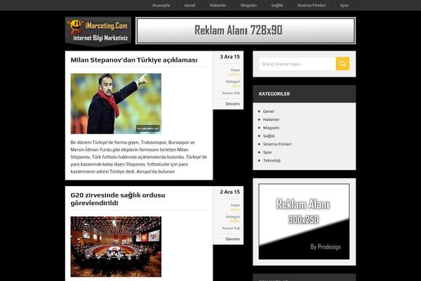 Marketing theme site design template sample