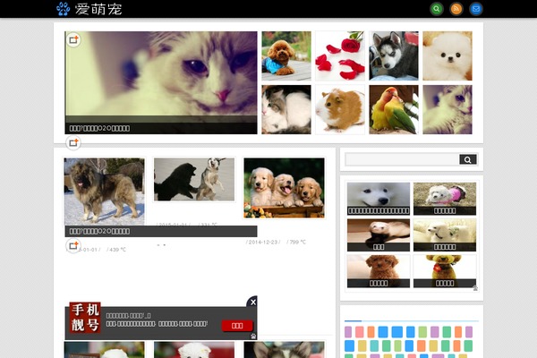 Imc theme site design template sample