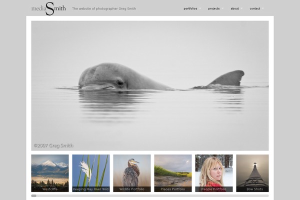 Modularity theme site design template sample