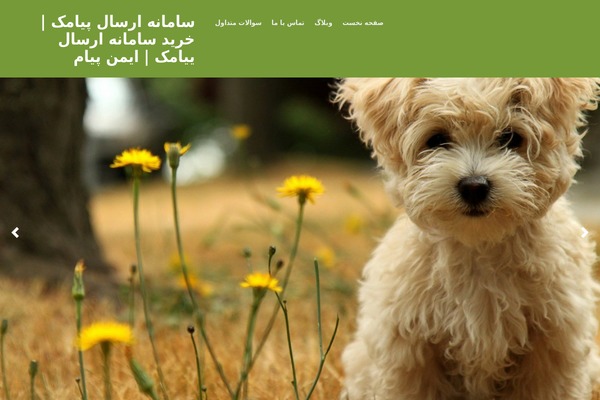 Misty Lake theme site design template sample