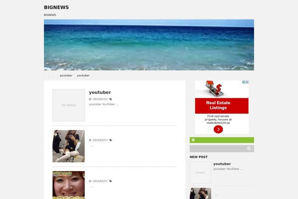 Stinger5ver20141227 theme site design template sample