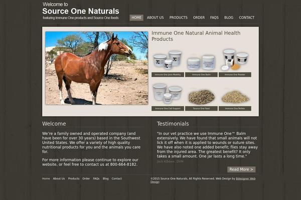 Custom theme site design template sample