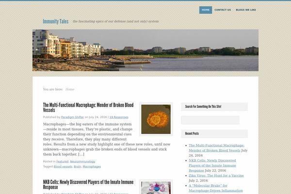 Unique theme site design template sample