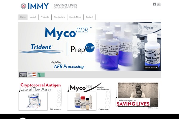 PlatformPro theme site design template sample