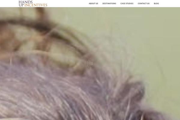 Site using Advanced Responsive Video Embedder plugin