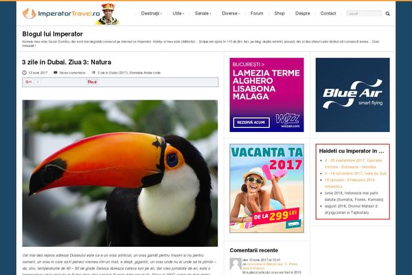 time_child theme websites examples