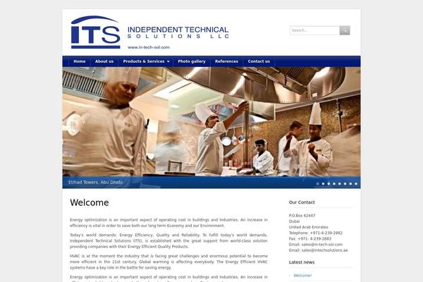 Classy theme site design template sample