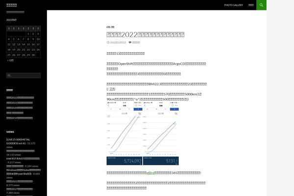 Site using SyntaxHighlighter Evolved plugin