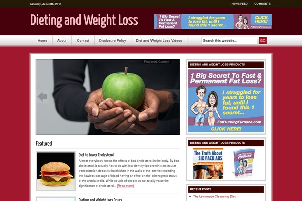 Streamline_enhanced theme site design template sample