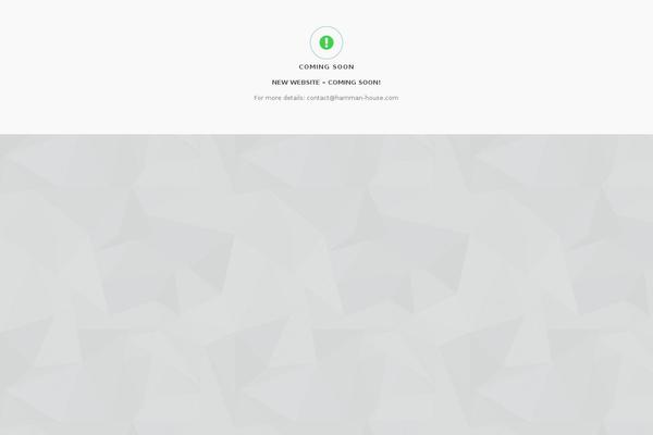Camyno theme site design template sample
