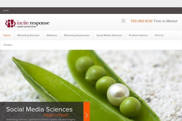 Theme1672 theme site design template sample