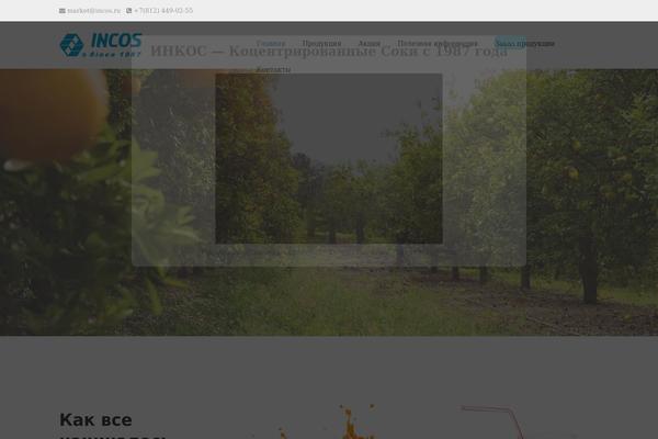 Aaika theme site design template sample