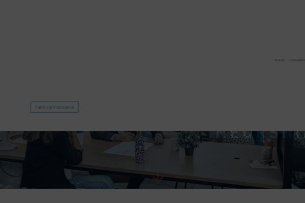 Site using Divi-machine plugin