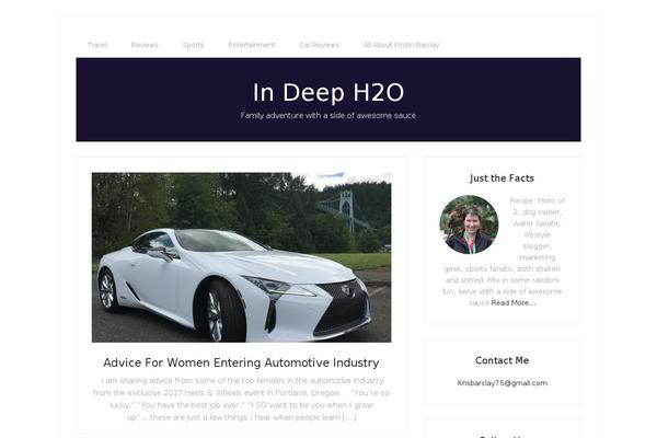 Lifestyle Pro theme site design template sample