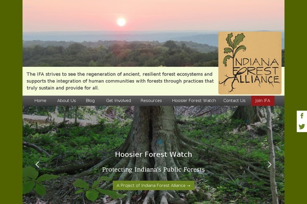Scratch-theme theme site design template sample